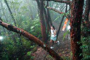 BIB: 
                            <button type="button" onclick="openModal(26343768)" class="btn btn-primary btn-sm float-right btn-popup" data-toggle="modal" data-target=".modal-high-quality">
                        <i class="fas fa-shopping-cart"></i> Add to Cart
                    </button>
                                            <button type="button" onclick="isThisMe(26343768, true)" class="btn btn-success btn-sm float-right btn-popup btn-isme hidden" data-toggle="tooltip" data-placement="bottom" title="นี่คือรูปของคุณใช่ไหม คลิกที่นี่เพื่อเอาเข้าอัลบั้ม">
                        <i class="fas fa-plus"></i> Add to album
                    </button>
                    <button type="button" onclick="isThisMe(26343768, false)" class="btn btn-warning btn-sm float-right btn-popup btn-isnotme hidden">
                        <i class="fas fa-ban"></i> Remove from album
                    </button>